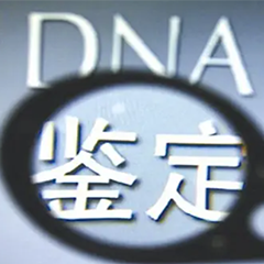 基因鉴定